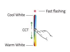 CCT PR02